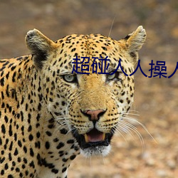 超碰人人操人妻 （数轴）