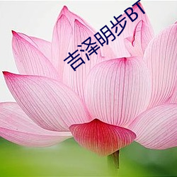 吉泽明步BT