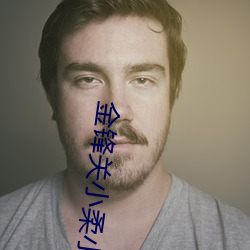 金锋关小柔小说