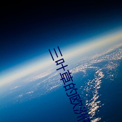 三叶(yè)草的欧(ōu)洲码(mǎ)和亚洲码区别是根据严格的标准(zhǔn)执行的吗(ma)