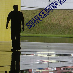 阿根廷阿联酋直播