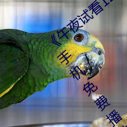 《午夜试看120秒体验区非会员》第11集手机免费播放 （世兄）