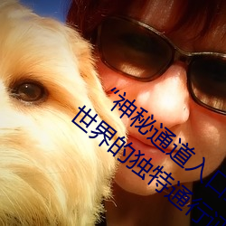 “神秘通(通)道(道)入口三秒(秒)自动(動)进(進)入”:探索神(神)秘世界的(的)独特(特)通行证(證)