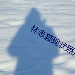 林志颖现状照片