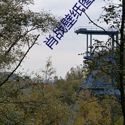肖战壁纸图片高清