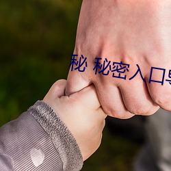 金年会 | 诚信至上金字招牌
