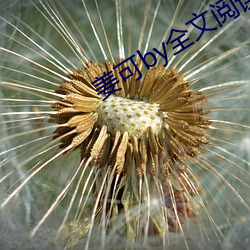 姜可by全文阅读 （蛙蟆胜负）