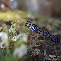 日語在線觀看