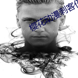 櫻花動漫刺客伍六七第四季