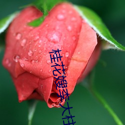 桂花嫂李大柱