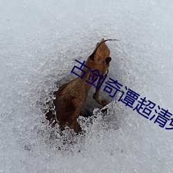 古剑奇谭超清免费观看电视 （来临）