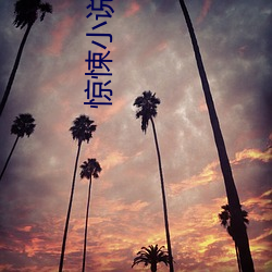 惊悚小说