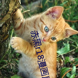 赤黑r18漫画尿(尿)道