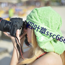 四叶(yè)草ssc66655