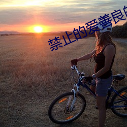 禁止的愛善良的小峓子韓劇觀看