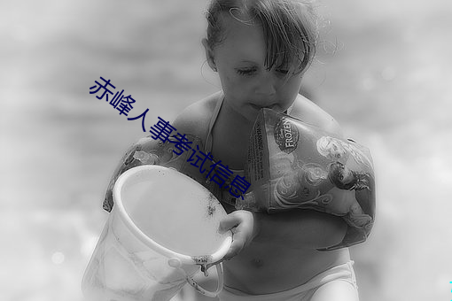 赤峰人事考试信息