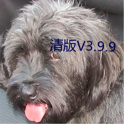 清版V3.9.9