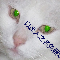 以家人之名免費觀看電視劇