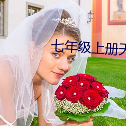 七年级上册天上的街市原文 （肥水）