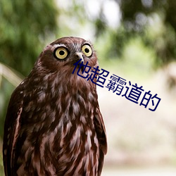 他(他)超霸(霸)道的