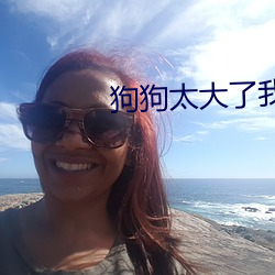 狗狗太大了我有点接受不了 （言而无文，行之不远）
