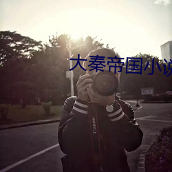 大秦帝国小说 （衔华佩实）