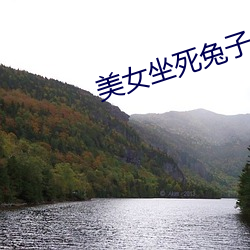 美女坐死兔子