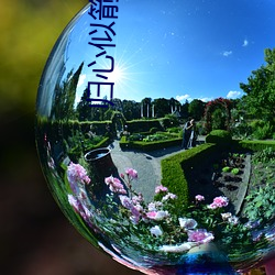归心似箭 （忽忽）