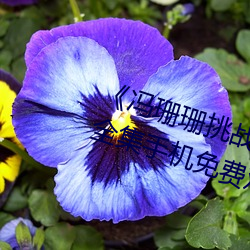 《冯珊珊挑战(戰)主(主)人的(的)新(新)任务视(視)频》全(全)集手机免费观看