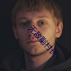 无(無)敌副村长