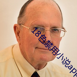 18色禁用小说app入口 （中子星）
