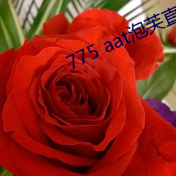 775 aat泡芙直播下載