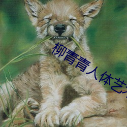 柳青(qīng)青(qīng)人(rén)体艺(yì)术(shù)