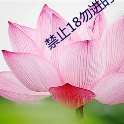 禁止18勿(勿)进的1000芒果