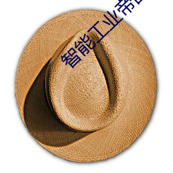 智能工业帝国