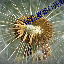 朝(朝)俞(俞)塞跳D开最大挡(擋)不能掉车