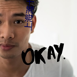 上海滩十三太保免费观看完 （随波逐浪）