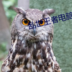 乱世王者电脑版怎么下载