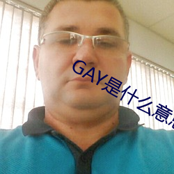 GAY是什么意思