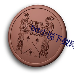 txt小说下载网站