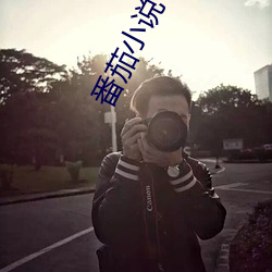 番茄小說下載