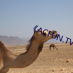 《ACFUN.TV