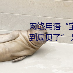 网络用语“宝(寶)贝腿迈(邁)开点我(我)就吃到扇(扇)贝了(了)” 是什(什)么意思(思)