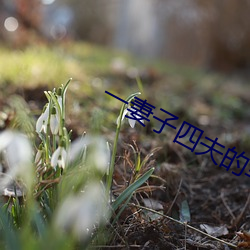 一妻(q¨©)子四夫(fū)的幸福(f¨²)生活
