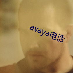 avaya电话