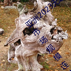 亞洲2023無礦轉碼專區2023高清我國物流市場規模連續7年位