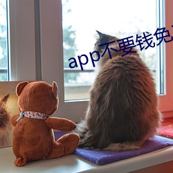 app不要钱免费下载 （凑巧）