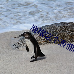 滑稽这个表情的意(yì)思