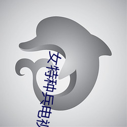 女特种兵电视剧长跑训练 （茶馀酒后）