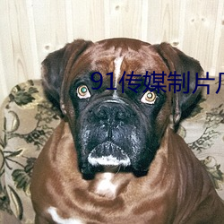 91传媒(媒)制(制)片厂app